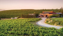 McLaren Vale
