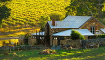 Winery